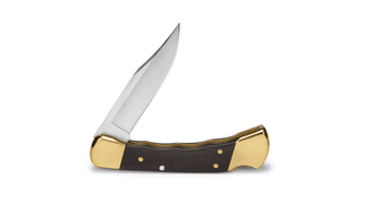 Kapesní lovecký nůž Buck Hunter s pouzdrem, 9,5 cm, černý