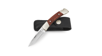 Buck Squire, kapesní nůž s pouzdrem, 7 cm, hnědý