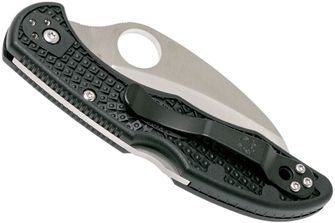 Spyderco Tasman Salt 2 rybářský nůž 7,4 cm, černý, FRN
