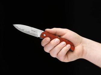 Böker Plus Exskelibur, kapesní nůž, 9 cm, dřevěný