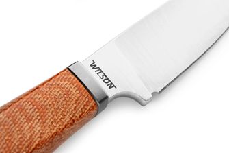 Lionsteel Nůž s pevnou čepelí s rukojetí z micarty WILLY WL1 CVN
